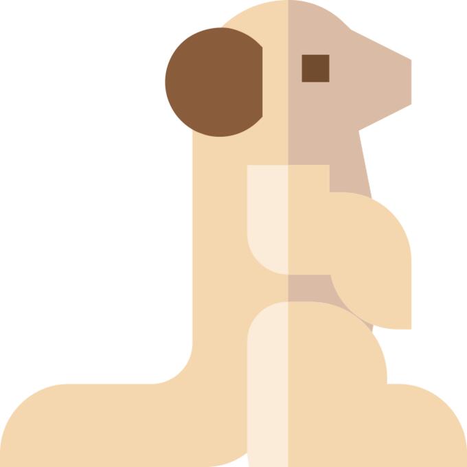 Meerkat