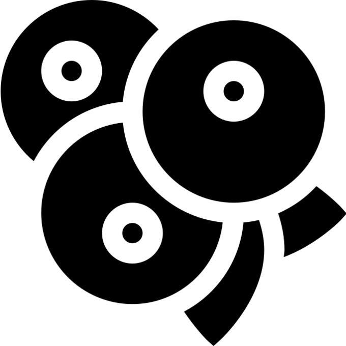 橄榄