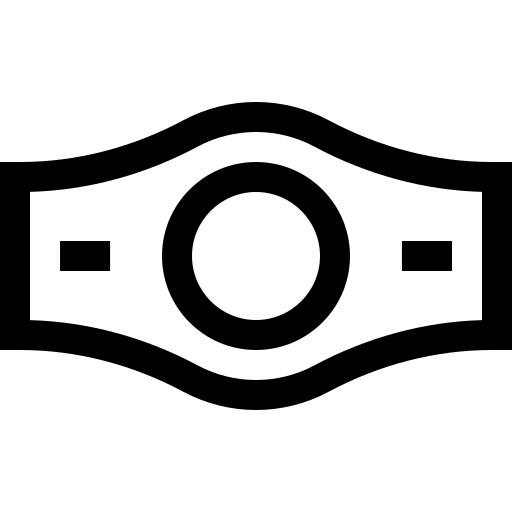 Champion belt