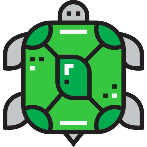 Tortoise