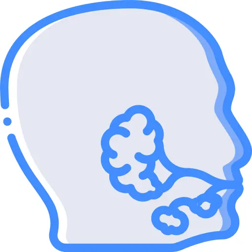 Salivary glands