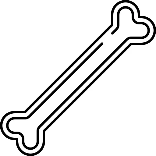 Bone