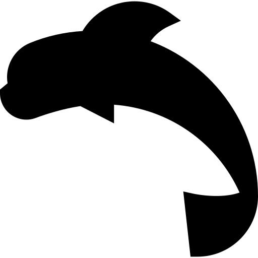 Dolphin