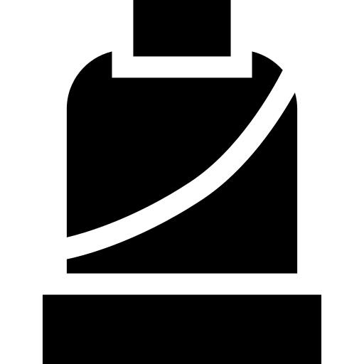 Seatbelt