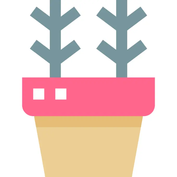 Shrub