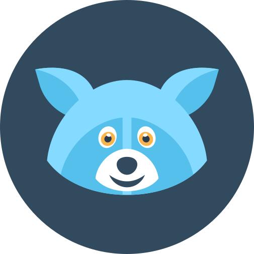 Racoon
