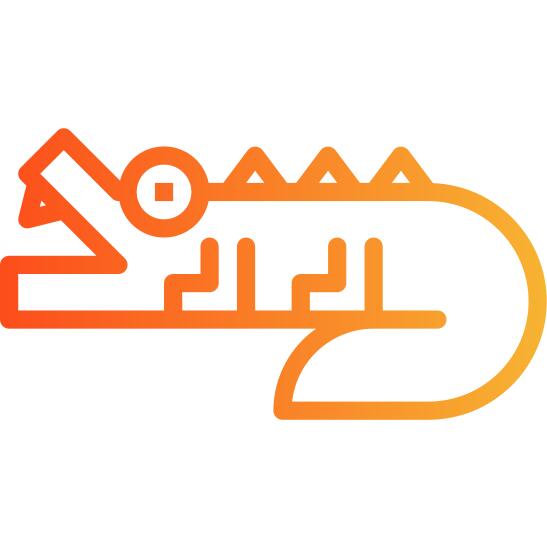 Crocodile