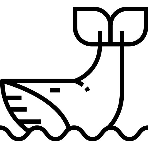 Whale
