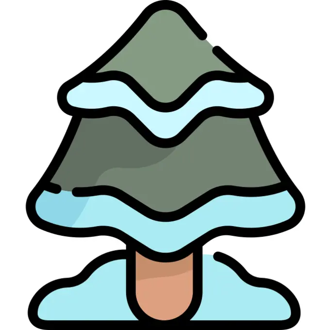 Pine tree