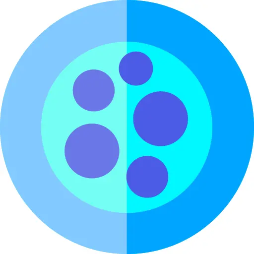 Petri dish
