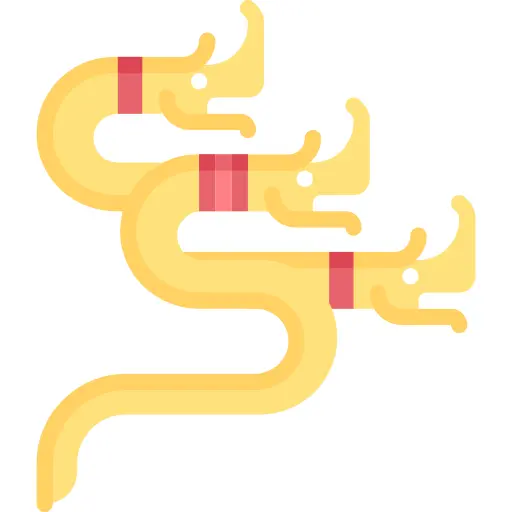 龙