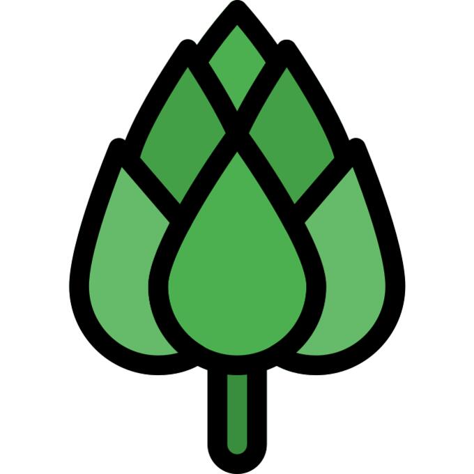 Artichoke