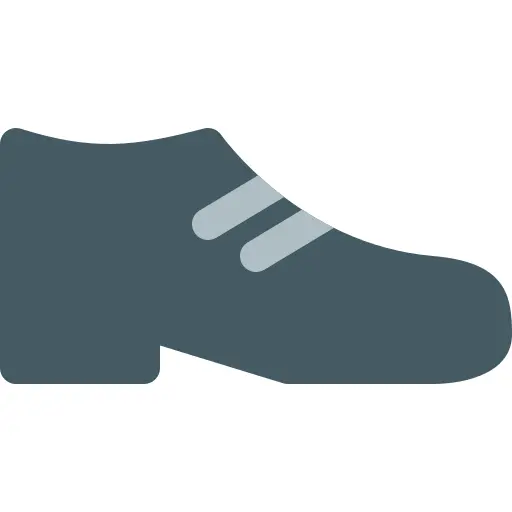 Shoe