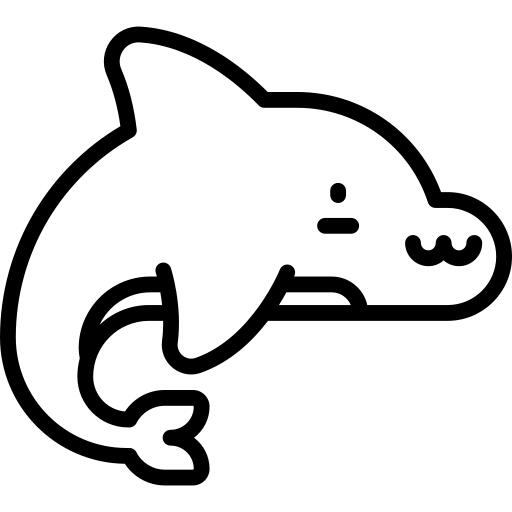 Dolphin