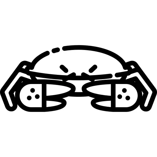 Crab