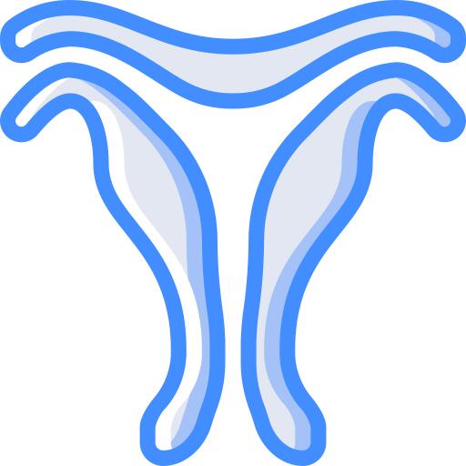 Uterus