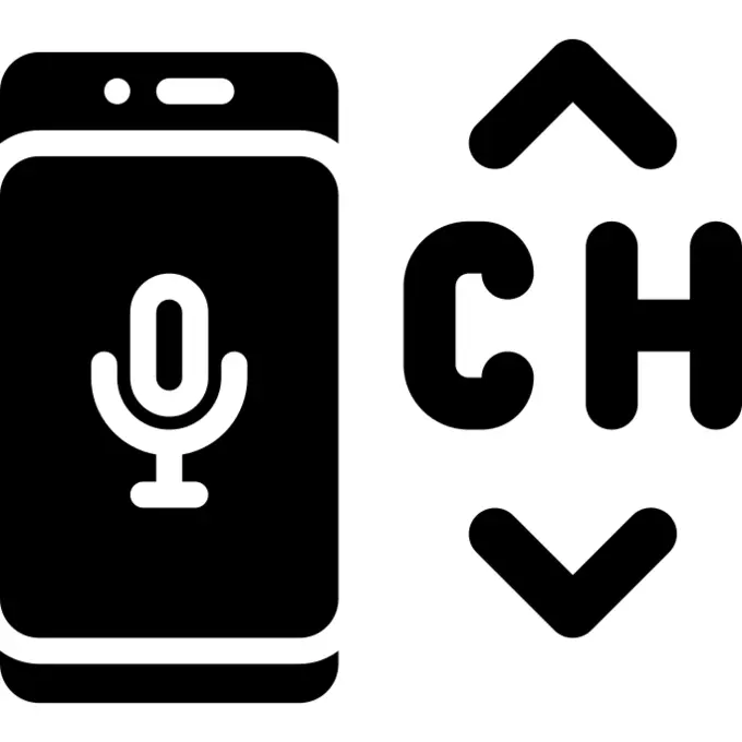 Voice assistant