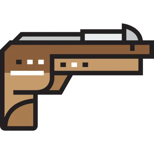 Gun