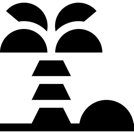 椰子树