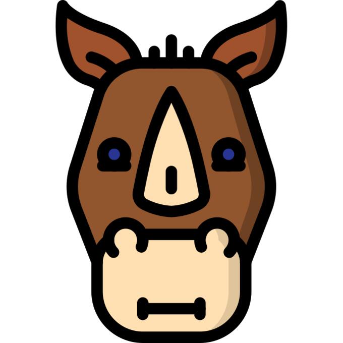 Rhinoceros