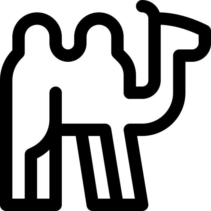 Dromedary