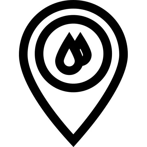Pin