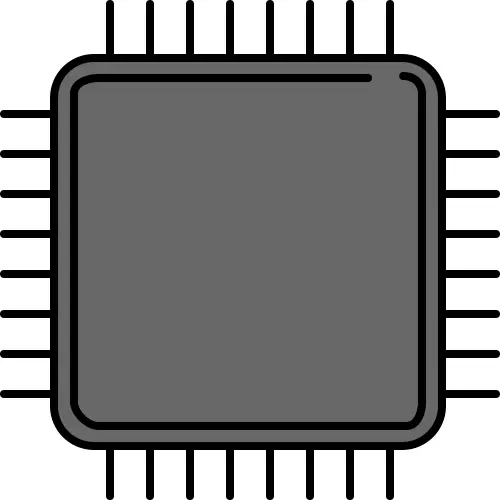 Microchip