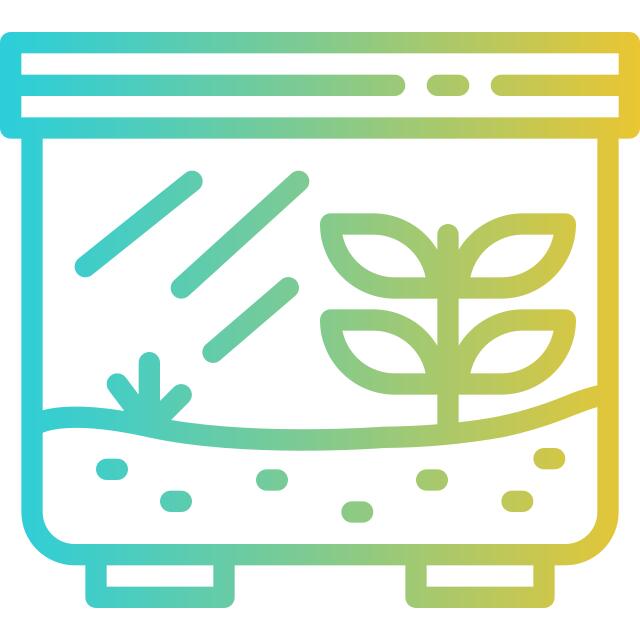 水晶球