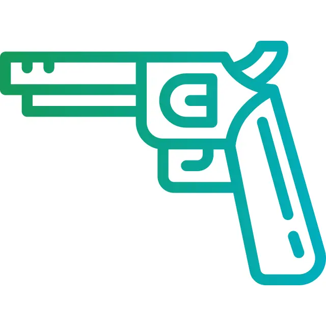 Gun