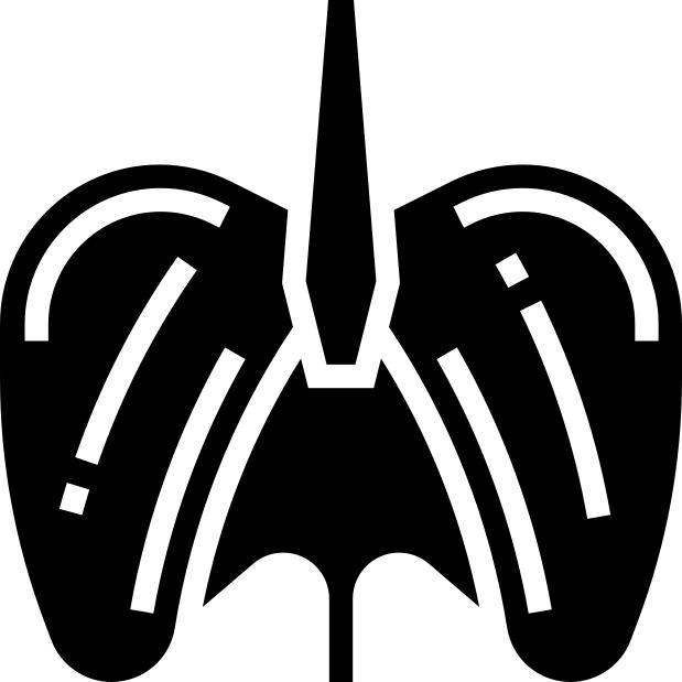 Diaphragm