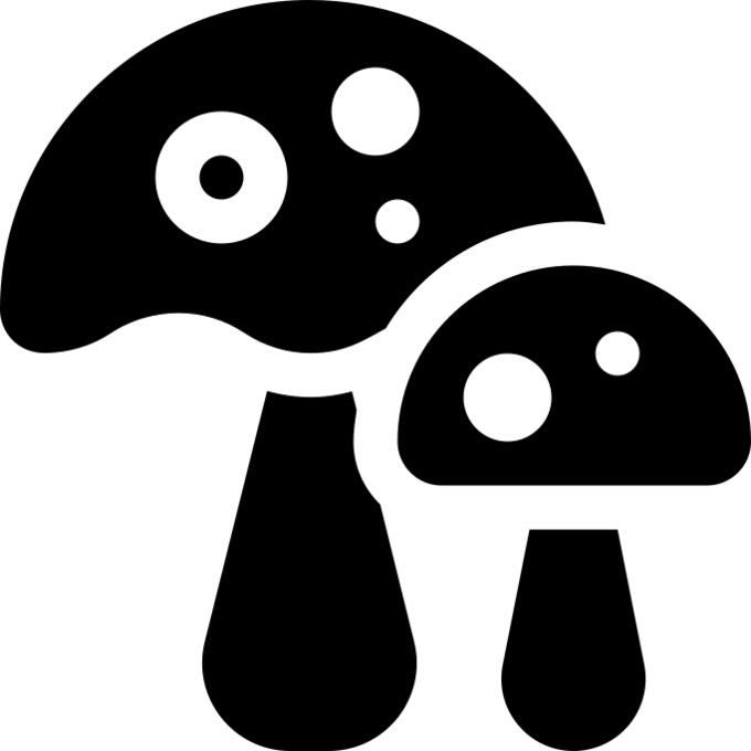 Mushroom