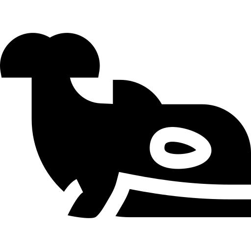 Orca