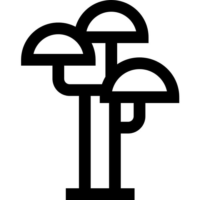 树