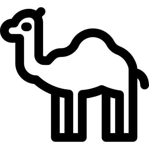 Dromedary