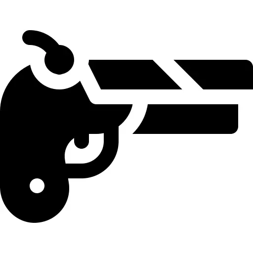Gun