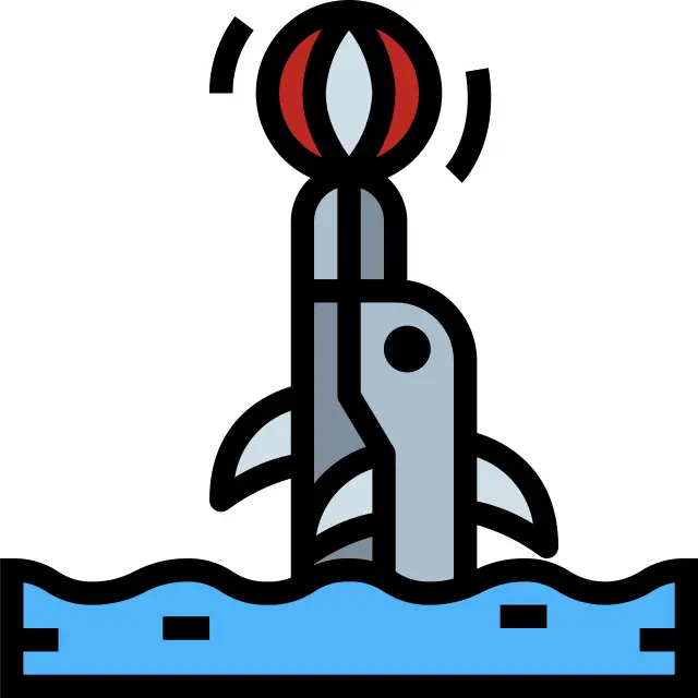 Dolphin