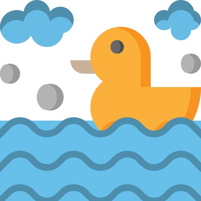 Ducks