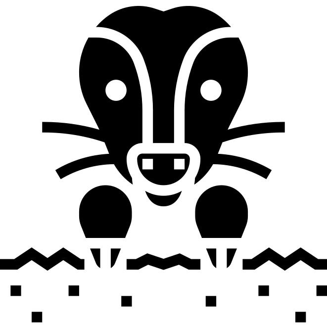 痣