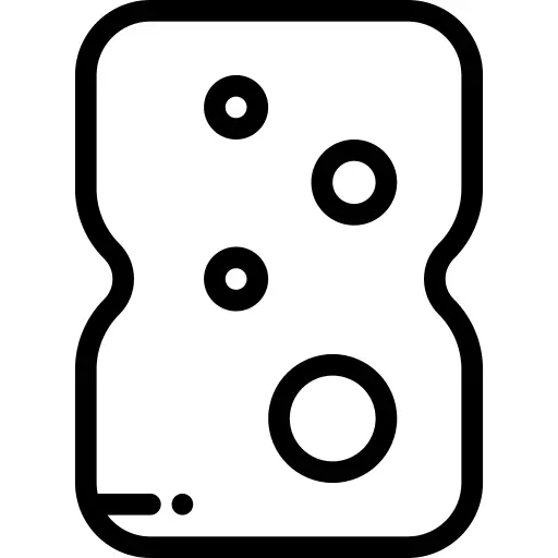 Sponge