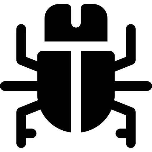 Beetle
