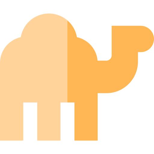 Dromedary