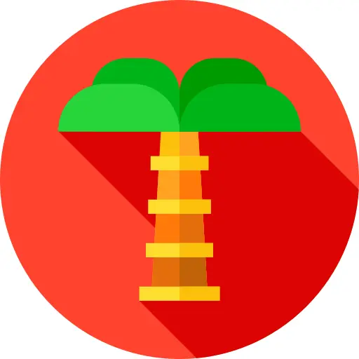 Palm tree