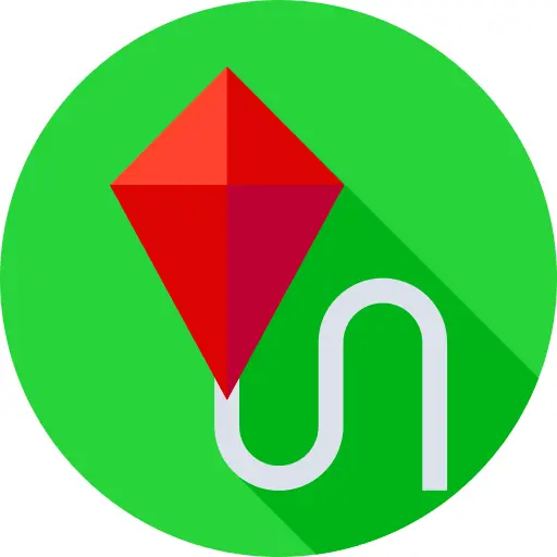 Kite