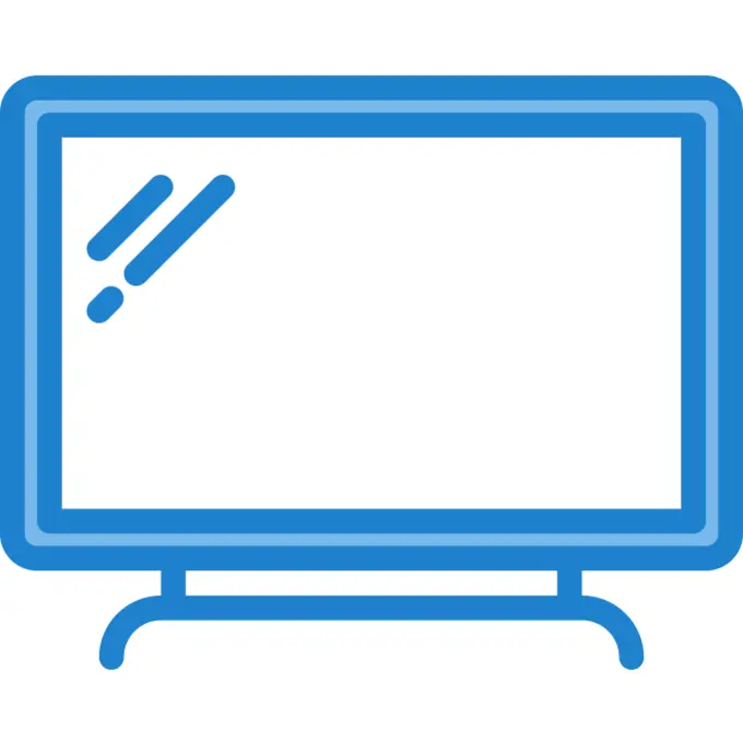 Television