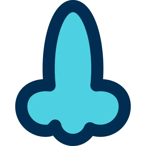 鼻子
