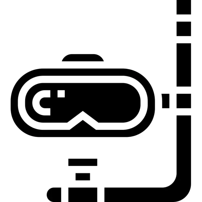 Diving mask