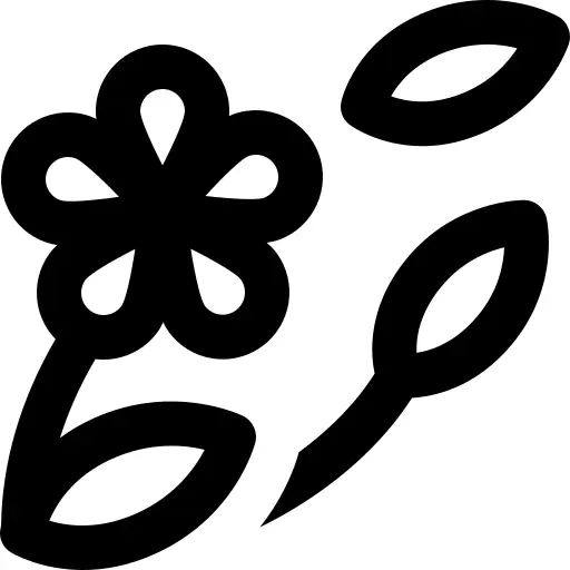 弹簧