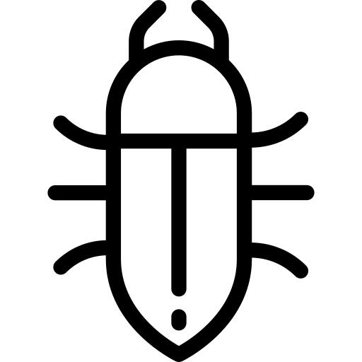 甲虫