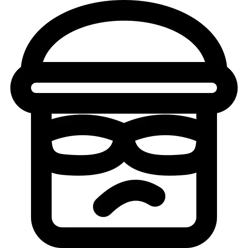 Burglar
