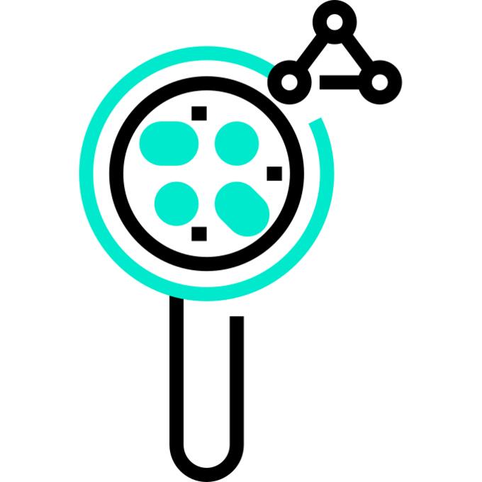 Magnifying glass